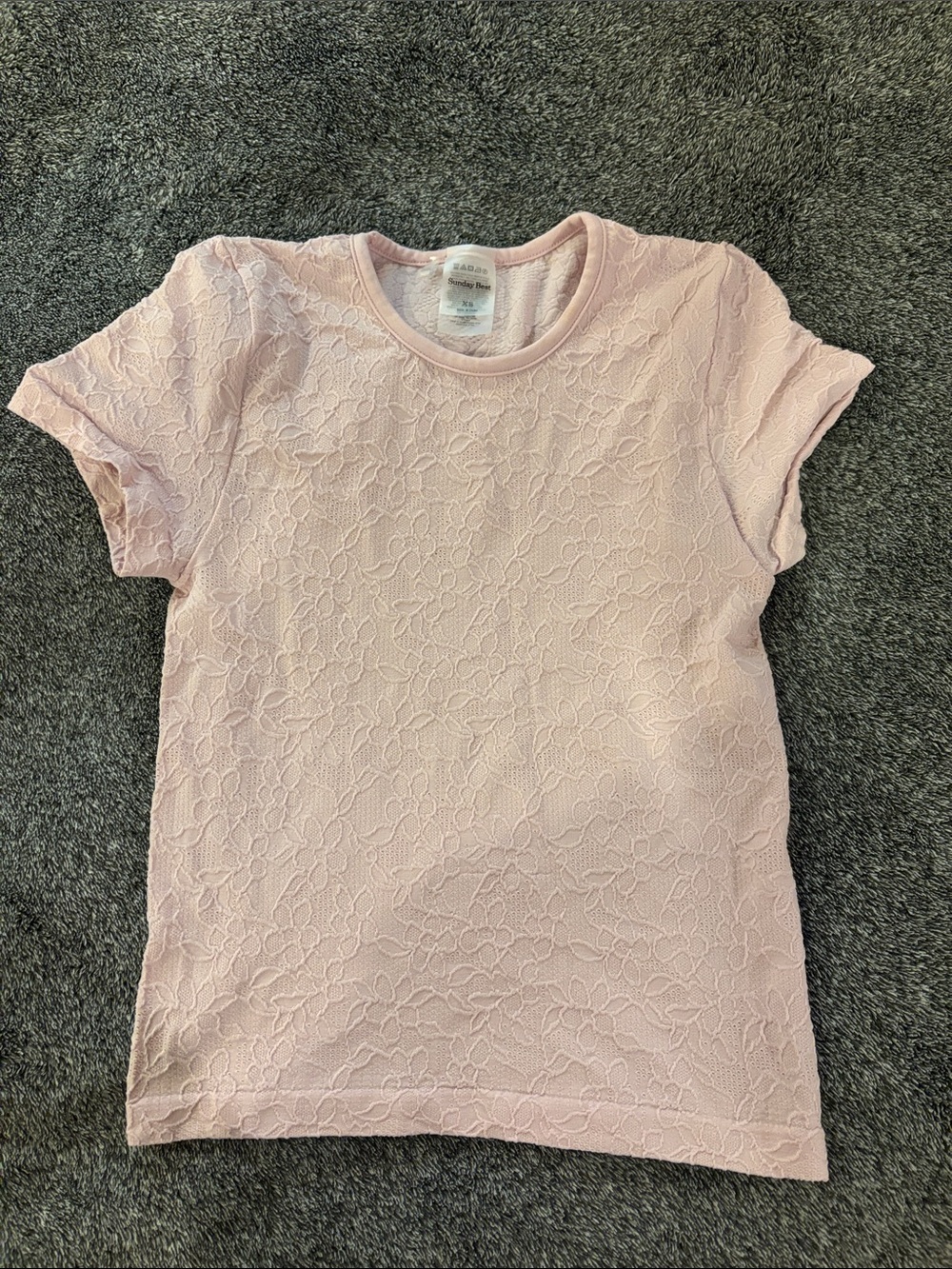 Aritzia Sunday Best Pale Pink Floral Lace Short Sleeve Tee